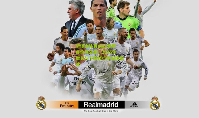 华体会体育app|德甲身价风云录，2025年增长与下降排行榜深度解读